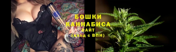 гидра Арсеньев
