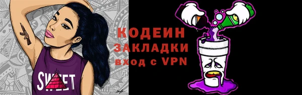 гидра Арсеньев