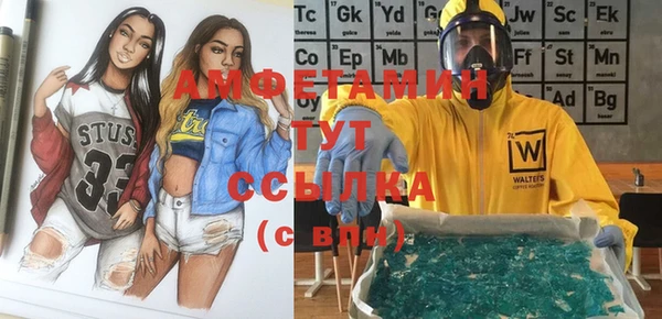 гидра Вяземский